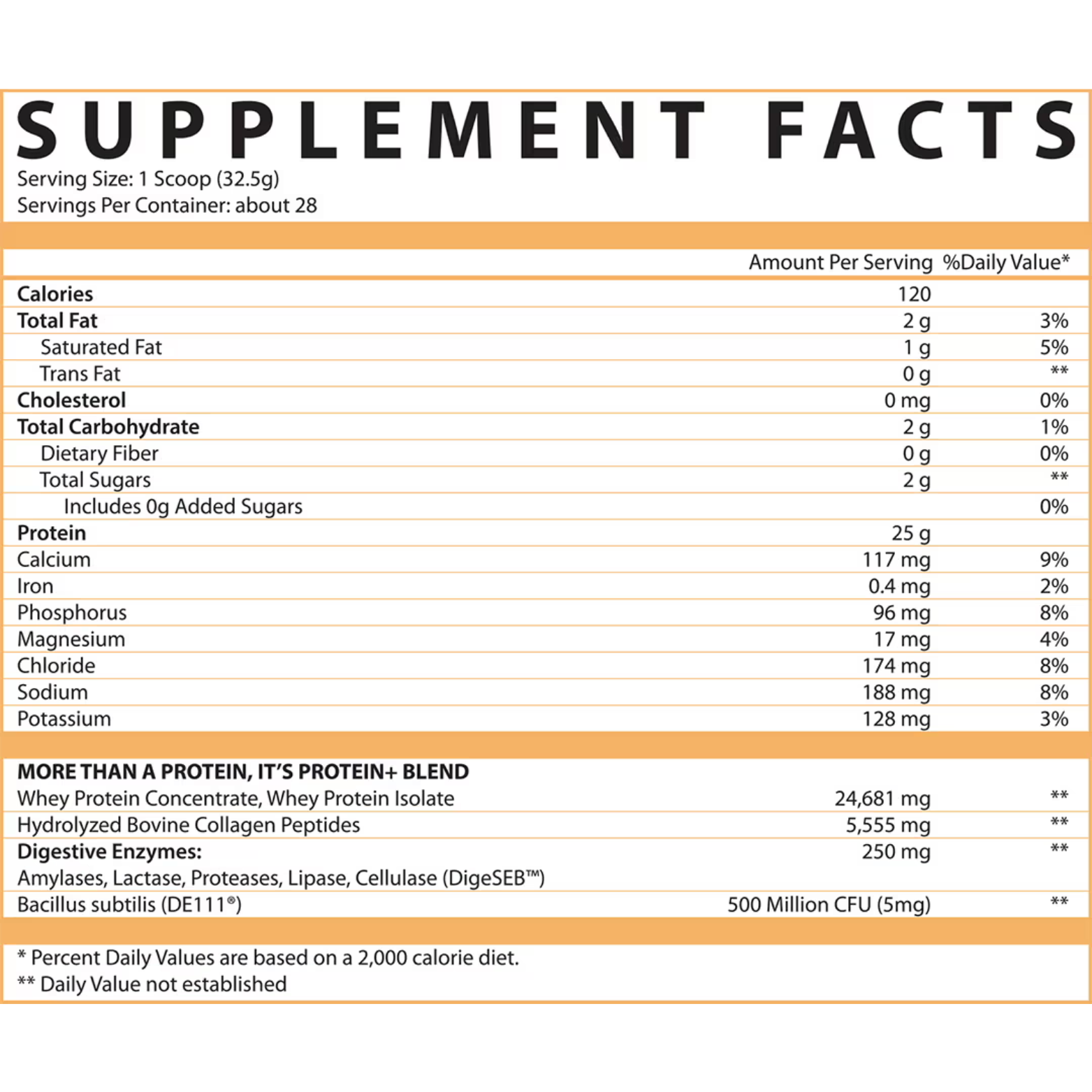 PROTEIN+ - 28/26 Servings